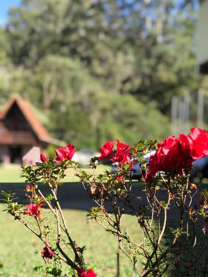 Pousada Guimaraes Sao Pedro da Serra  Dış mekan fotoğraf